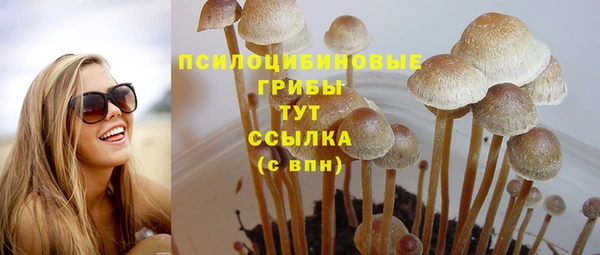 гидропоника Карпинск