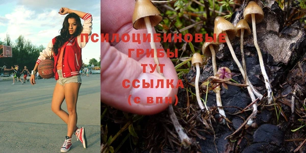 ГАЛЛЮЦИНОГЕННЫЕ ГРИБЫ Кинешма