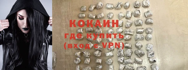 СК Каменногорск