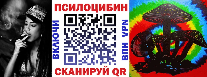 купить закладку  Кирсанов  Галлюциногенные грибы Psilocybine cubensis 